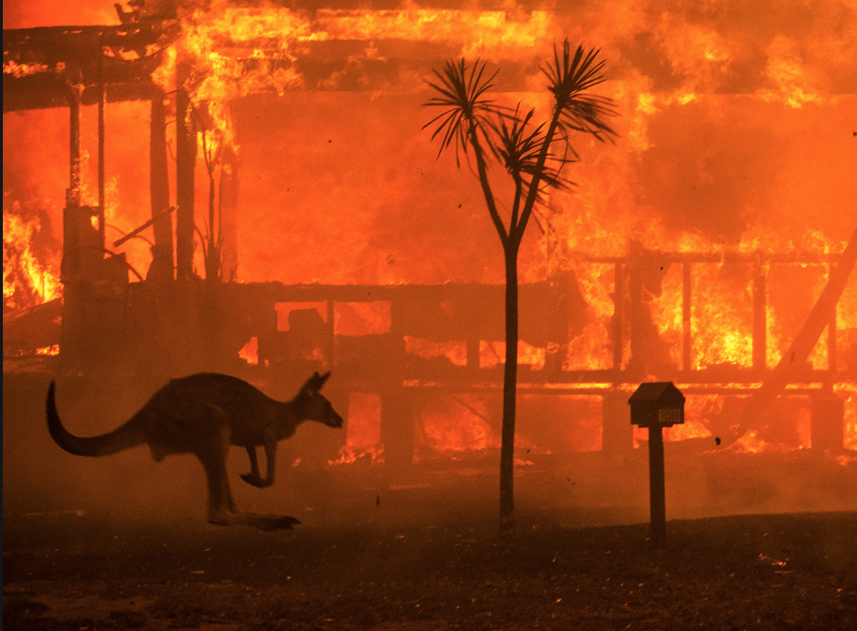 Screen Shot 2020-03-13 at 12.16.58 pm