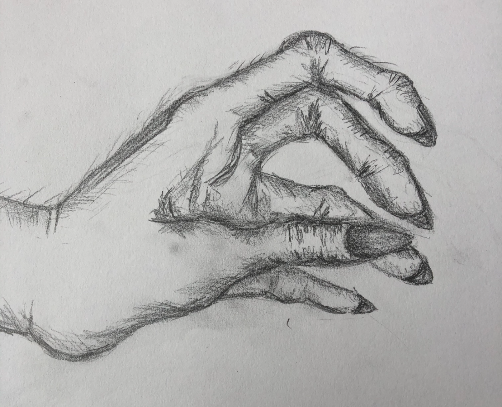 Screen Shot 2020-04-26 at 11.27.30 am